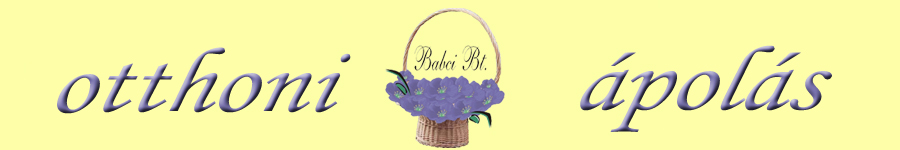 Babci Bt otthonápolás
